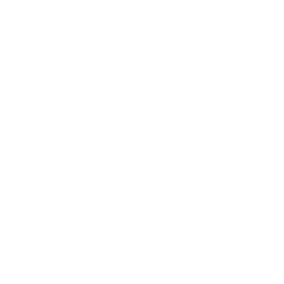 Pudami